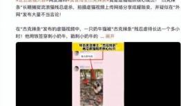 杰克辣条爆料视频,揭秘娱乐圈惊人内幕